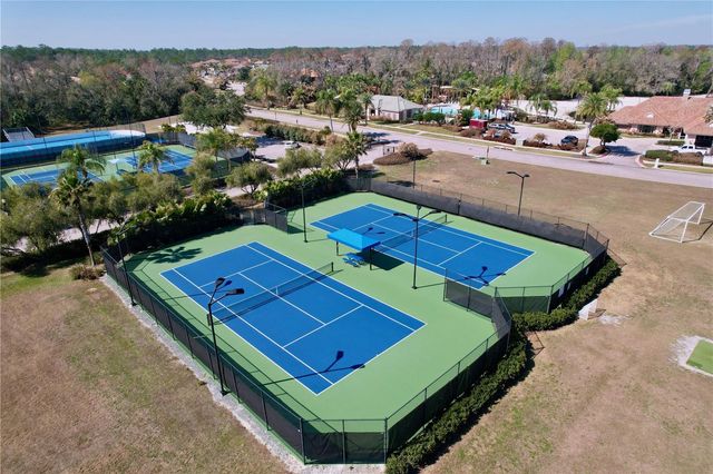 15246 ANGUILLA ISLE AVENUE, Tampa, FL 33647