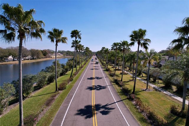 15246 ANGUILLA ISLE AVENUE, Tampa, FL 33647