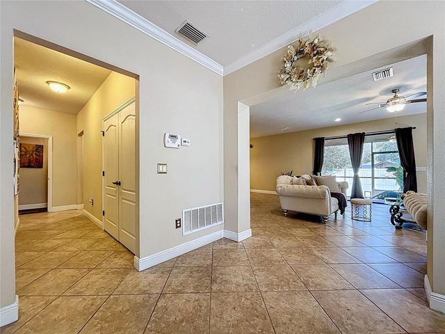 15246 ANGUILLA ISLE AVENUE, Tampa, FL 33647