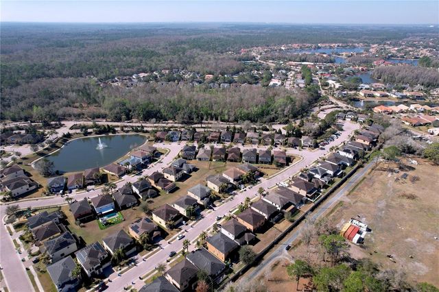 15246 ANGUILLA ISLE AVENUE, Tampa, FL 33647