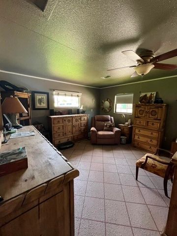 1308 N Mesquite Street N, Goldthwaite, TX 76844