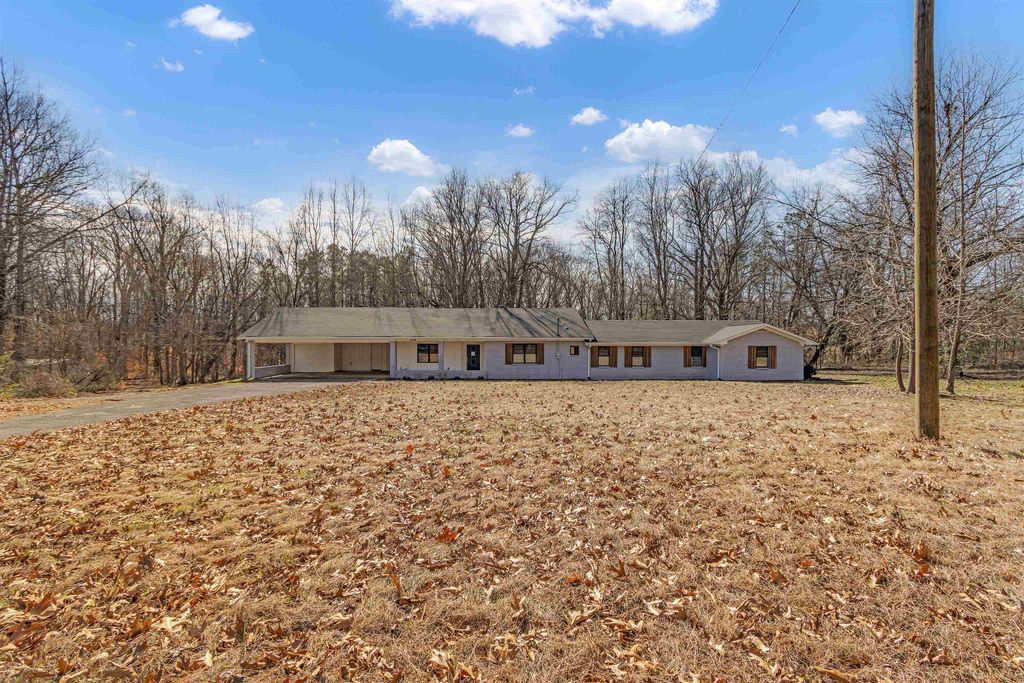 1296 MONASCO RD, Millington, TN 38053