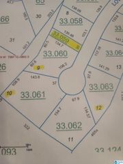 00 LOWER LAKE DRIVE, Odenville, AL 35120