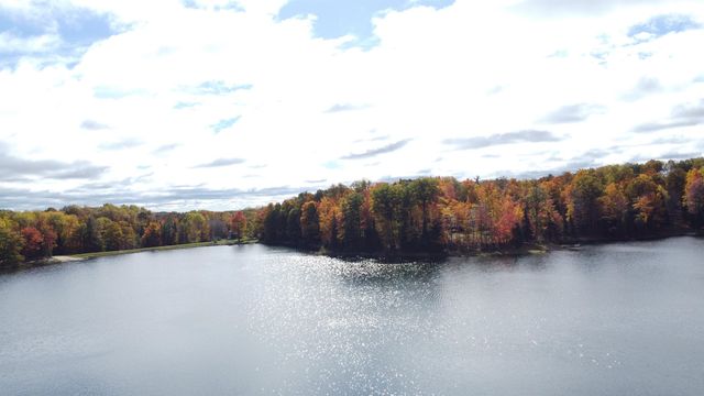 5391 Jack Morris Drive, West Branch, MI 48661