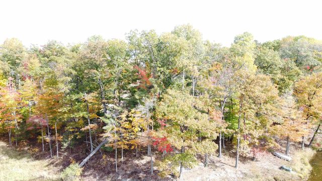 5391 Jack Morris Drive, West Branch, MI 48661