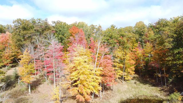 5391 Jack Morris Drive, West Branch, MI 48661