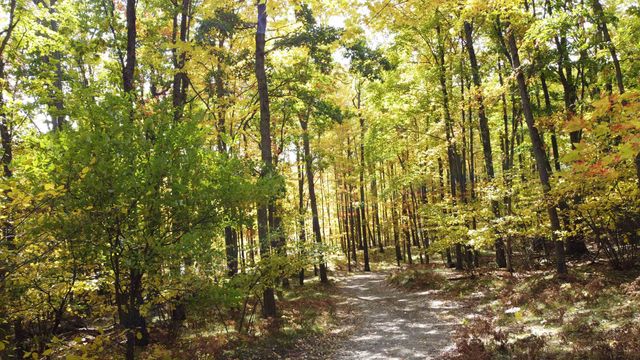 5391 Jack Morris Drive, West Branch, MI 48661