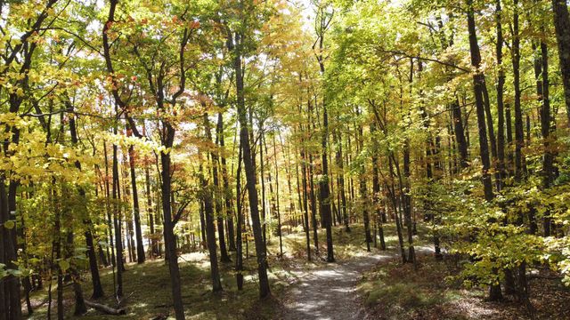 5391 Jack Morris Drive, West Branch, MI 48661