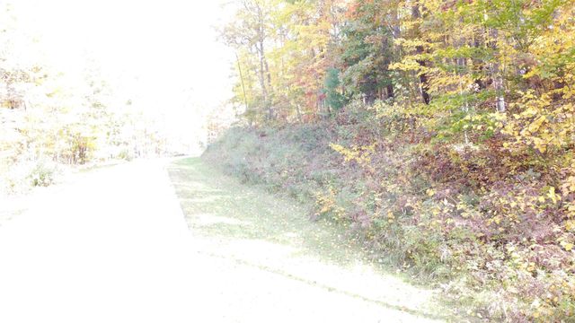 5391 Jack Morris Drive, West Branch, MI 48661