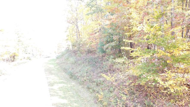 5391 Jack Morris Drive, West Branch, MI 48661