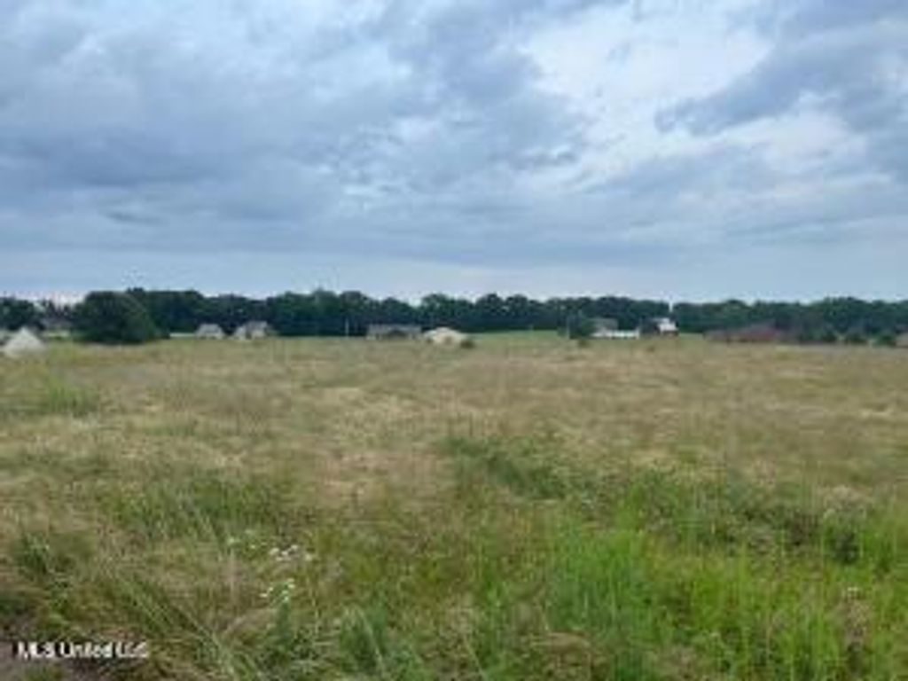 2836 Oak Grove Cove, Hernando, MS 38632 — exterior