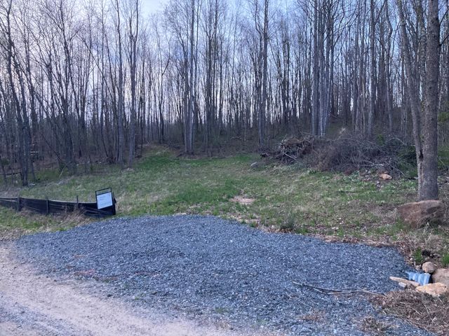 0 Braxton DR, Buchanan, VA 24066