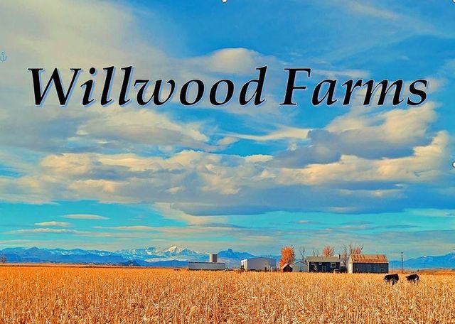 140 Lane 15, Powell, WY 82435