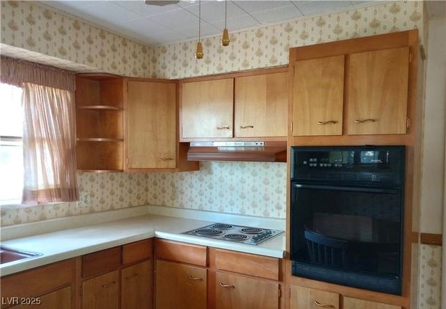 316 Cedar Street, Pioche, NV 89043