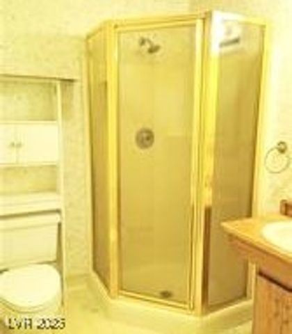 316 Cedar Street, Pioche, NV 89043