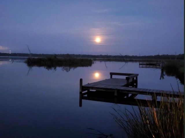 345 Sandy Trail, Angleton, TX 77486