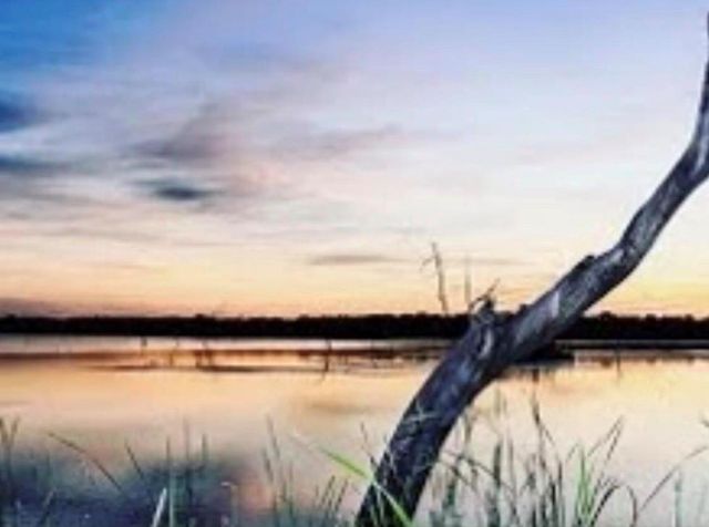 345 Sandy Trail, Angleton, TX 77486