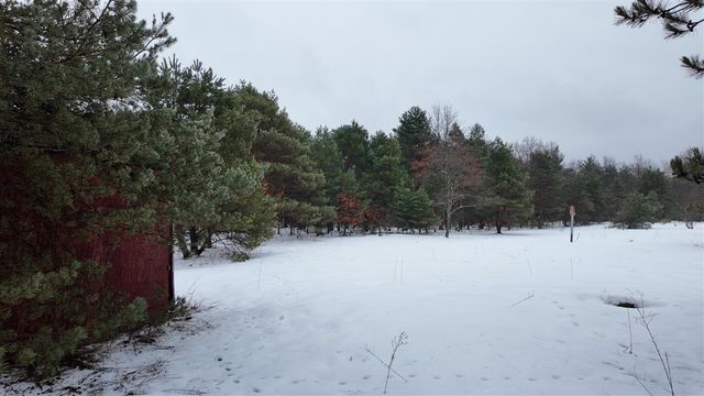 4901 Brunswick Road, Holton, MI 49425