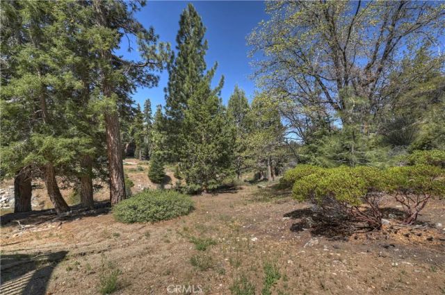 1132 Teton, Big Bear Lake, CA 92315