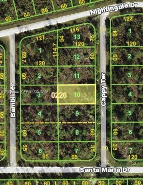 13347 Cappy Ter, Punta Gorda, FL 33955