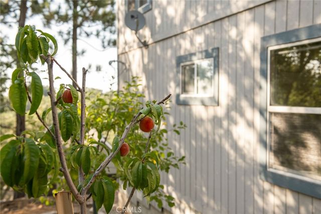 1477 Sequoia Drive, Lake Arrowhead, CA 92352