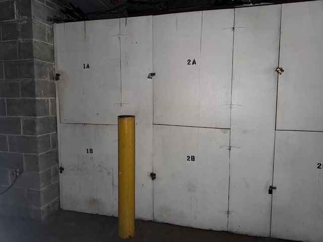 259 Stoneybrook Lane 2B, Bloomingdale, IL 60108