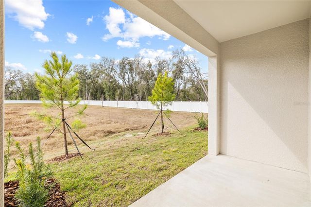 36148 RISA MICHELE STREET, Zephyrhills, FL 33541