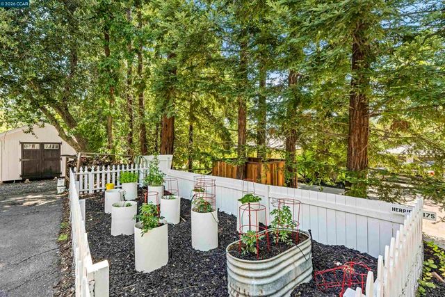 177 Oak Road, Alamo, CA 94507