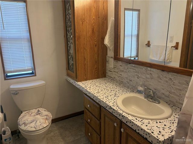 417 Belinda Drive, Alamo, TX 78516