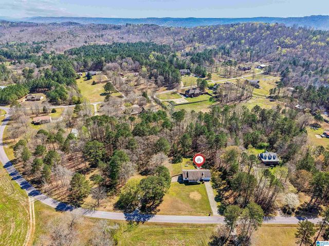 755 BEAVER RIDGE DRIVE, Ashville, AL 35953