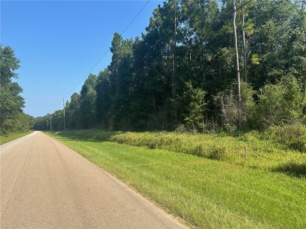 0 Danner Road, Wilmer, AL 36587 — exterior