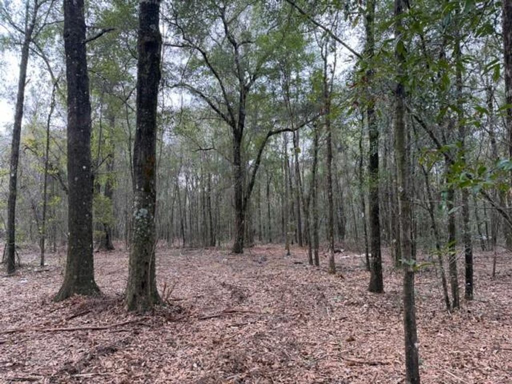 0 Danner Road, Wilmer, AL 36587 — photo 2