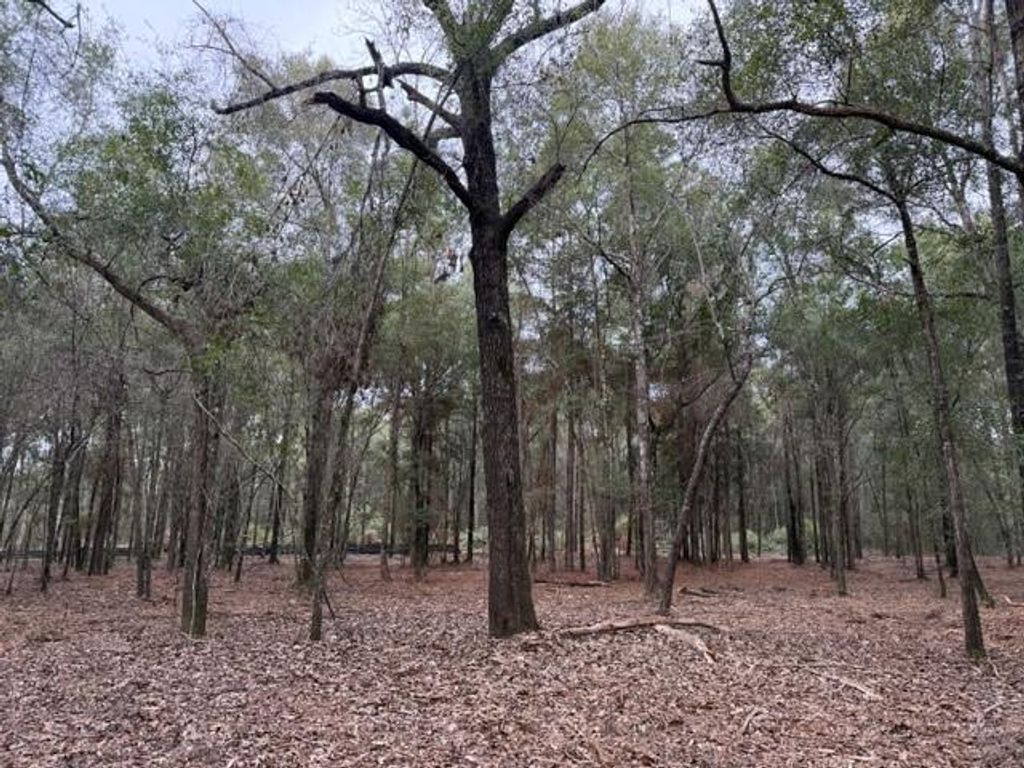 0 Danner Road, Wilmer, AL 36587 — photo 3