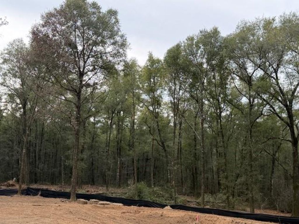 0 Danner Road, Wilmer, AL 36587 — photo 4