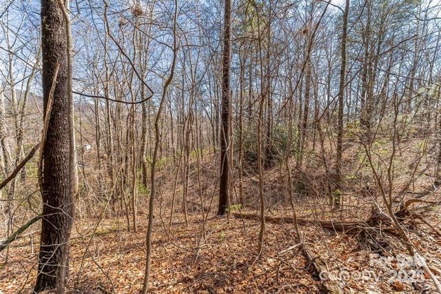 99999 Parker Road, Asheville, NC 28805