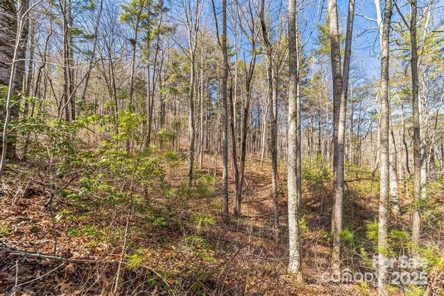 99999 Parker Road, Asheville, NC 28805