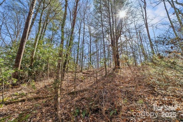 99999 Parker Road, Asheville, NC 28805