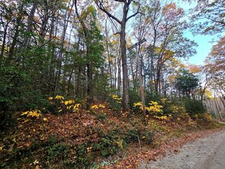 0 Cooleyville Rd, Shutesbury, MA 01072