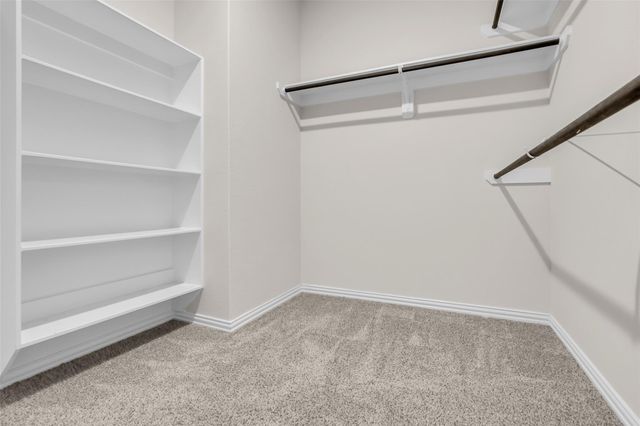 19419 Valletta Green Drive, Hockley, TX 77447