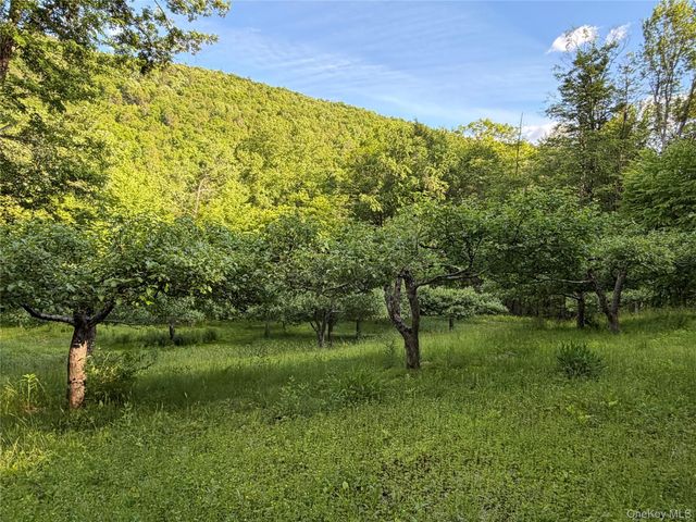 201 Basket Brook Rd, Long Eddy, NY 12760