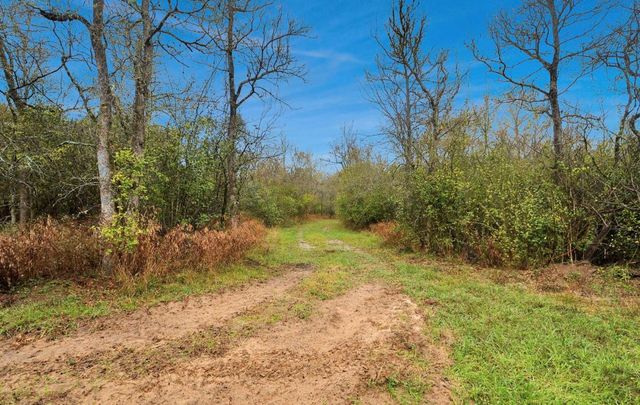 5523 Ehrman Lake Lane, Wallis, TX 77485