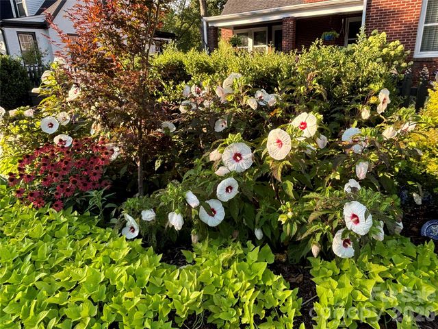 514 Jackson Park Road, Kannapolis, NC 28083