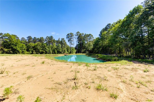 Lot 13 Spring Branch Road, Montgomery, TX 77316