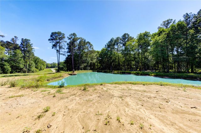 Lot 13 Spring Branch Road, Montgomery, TX 77316