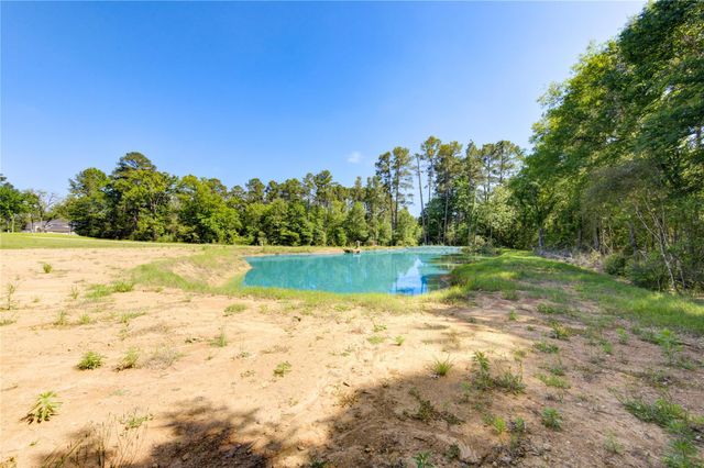 Lot 13 Spring Branch Road, Montgomery, TX 77316