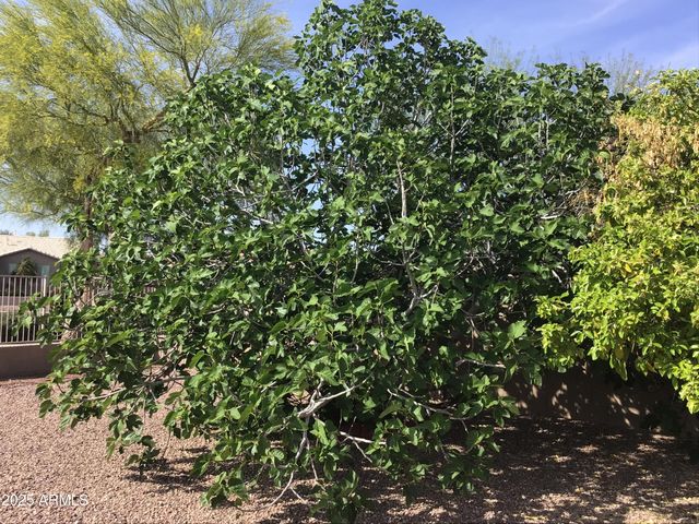 10956 W Cimarron Drive, Sun City, AZ 85373