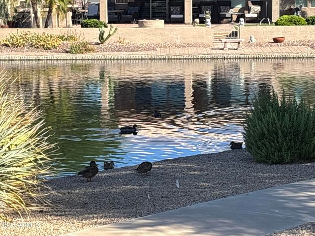 10956 W Cimarron Drive, Sun City, AZ 85373