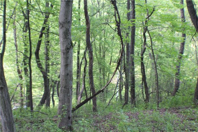 LOT Wexford Bayne Road, Marshall, PA 15090