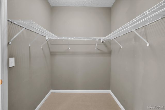10449 DUNCANNON Trail, Montgomery, AL 36117