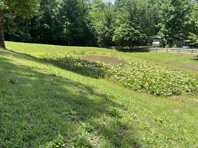 166 Outback Rd, Lobelville, TN 37097